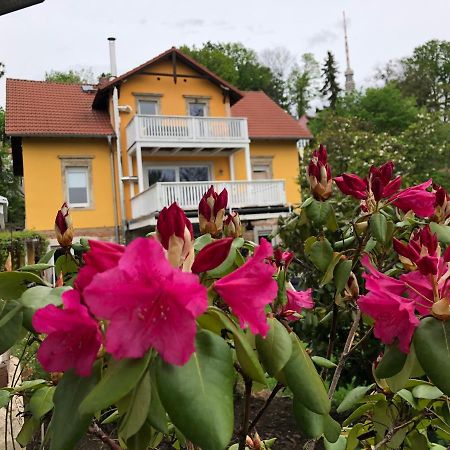 Ferienwohnung Casa Casimir Mit Elbblick, Balkon Und Grossen Garten Dresden Ngoại thất bức ảnh